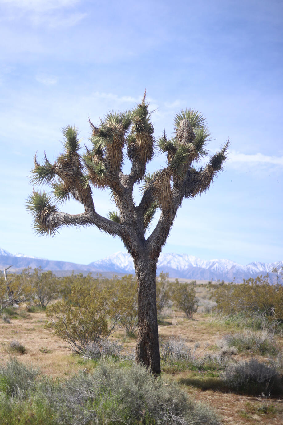 Llano. 2024 - Canon 6D ii