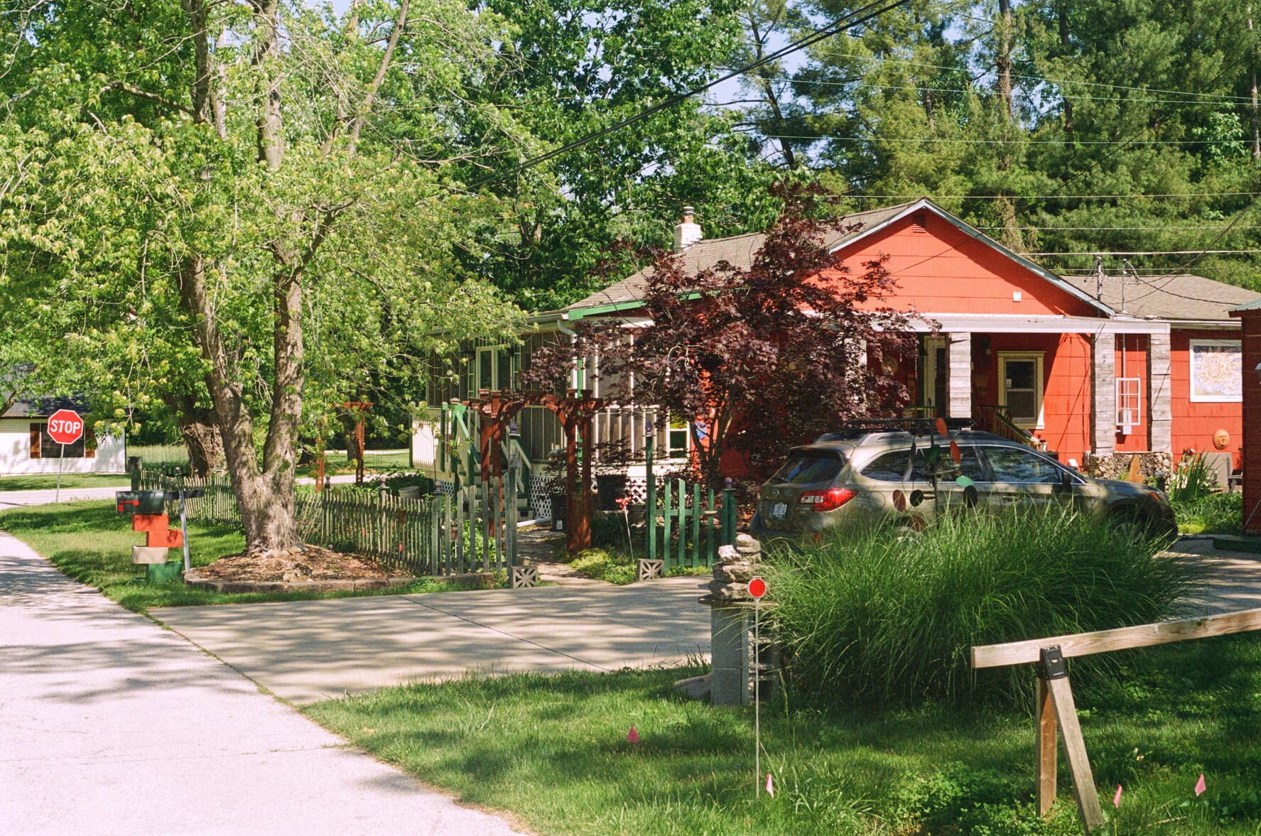 Labadie. 2025 - Kodak Portra 800