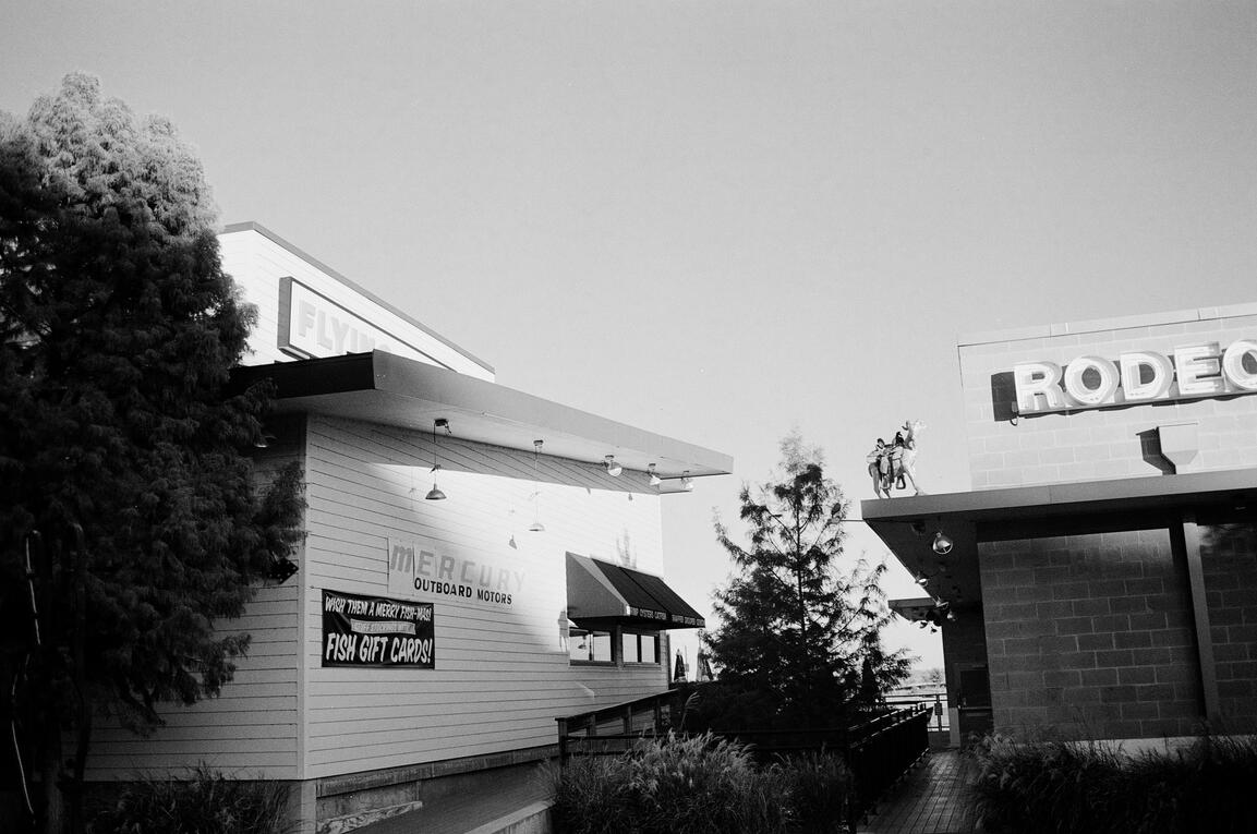 Cypress Waters - Ilford XP2 Super